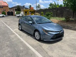 Toyota Corolla LE 2020 Blue