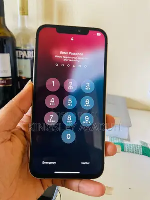 Apple iPhone 12 Pro Max 256 GB Gold