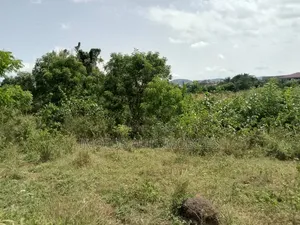 50 Plots for Lease