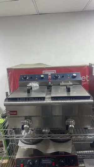 Electric Commercial Fryer