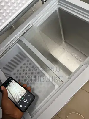 258 Snowsea Freezer