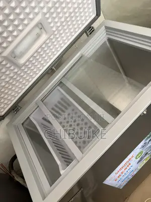258 Snowsea Freezer