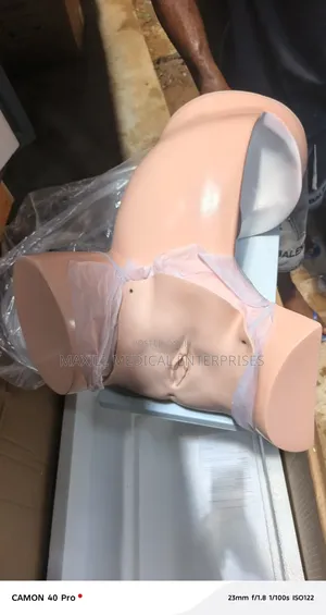 Model of Course of Delivery