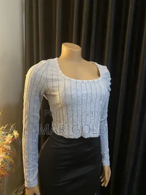 Ash Colored Crop Top With Sleeves