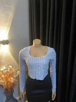 Ash Colored Crop Top With Sleeves