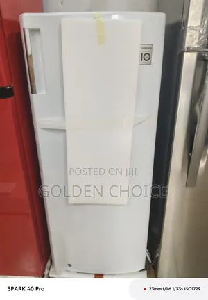 Lg Inverter Standing Freezer