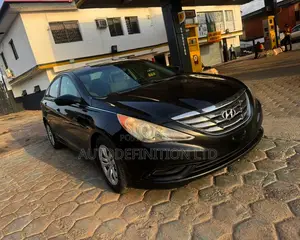 Hyundai Sonata 2010 Black