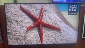 Premium 55” Lg Uhd Smart Gaming Tv