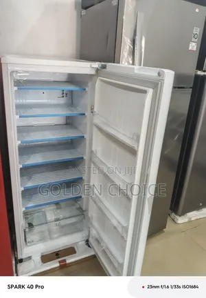 Lg Inverter Standing Freezer