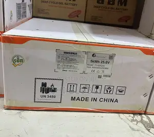 5kwh 24v Felicity Lithium Battery