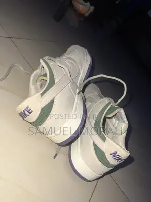 Nike Dunk Low “Veener”