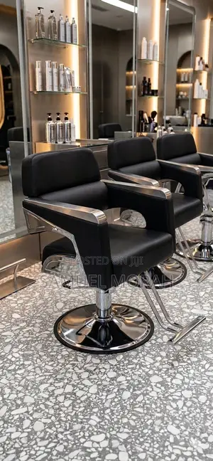 Executive Salon Chair
