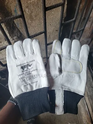 Cold Room Glove