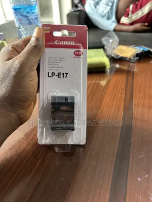 Canon Lp E17 Battery