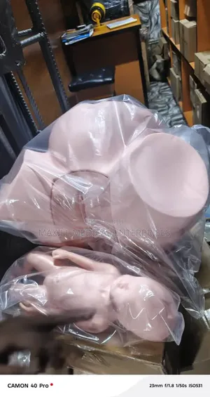 Medical Midwifery Training Model