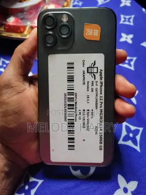 Apple iPhone 12 Pro 256 GB Gray