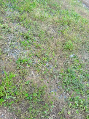 2,000sqm Green Area at Jahi