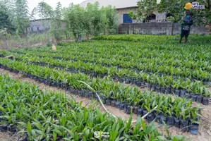 Farmland for Sale in Abeokuta | Ìtura Farms Nature Resort