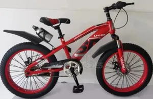 Size 20 Children Bicycle For Age 8 _ 13