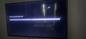 Television