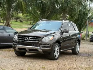 Mercedes-Benz M Class 2013 Gray