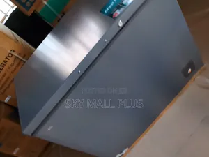 Powerful Hisense 250l Freezer for Commercial Use