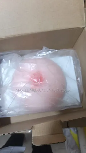 Breast Model