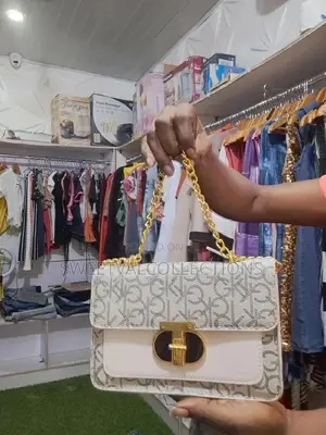 Female Hand Bags