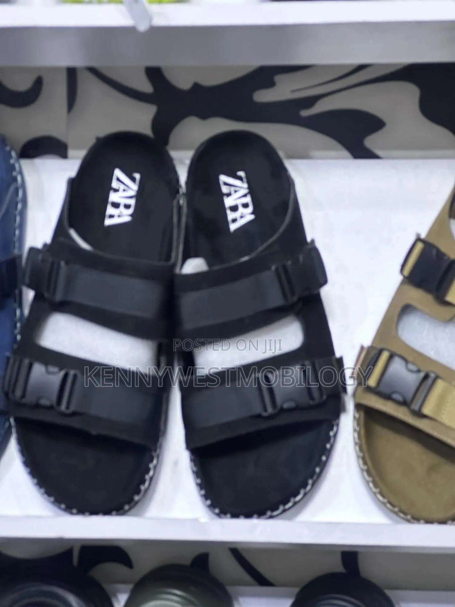 Zara Palms