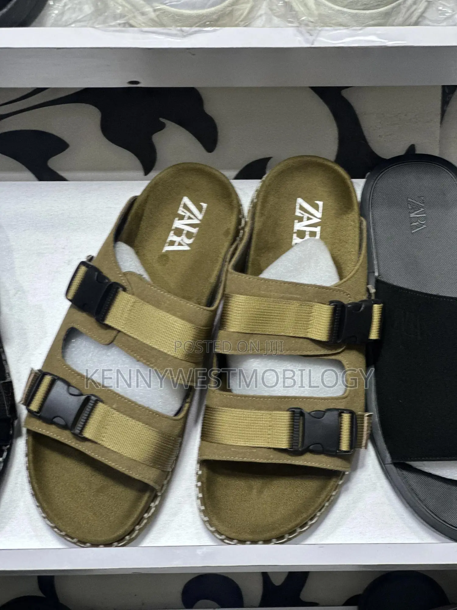 Zara Palms