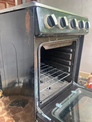 Skyrun 4 Burner Cooker