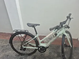 Electric Bicycle