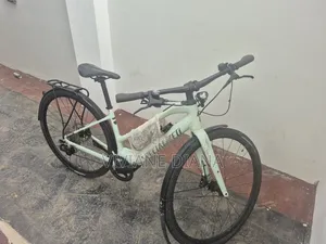 Electric Bicycle