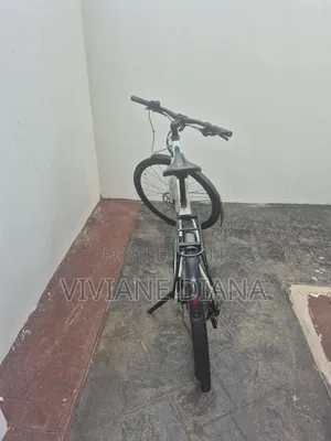 Electric Bicycle
