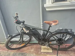 Electricity Bicycle