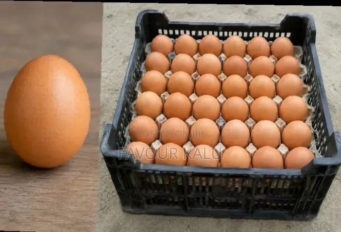 Famous Kitchen