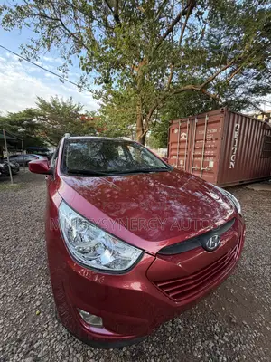 Hyundai Ix35 2013 Burgundy