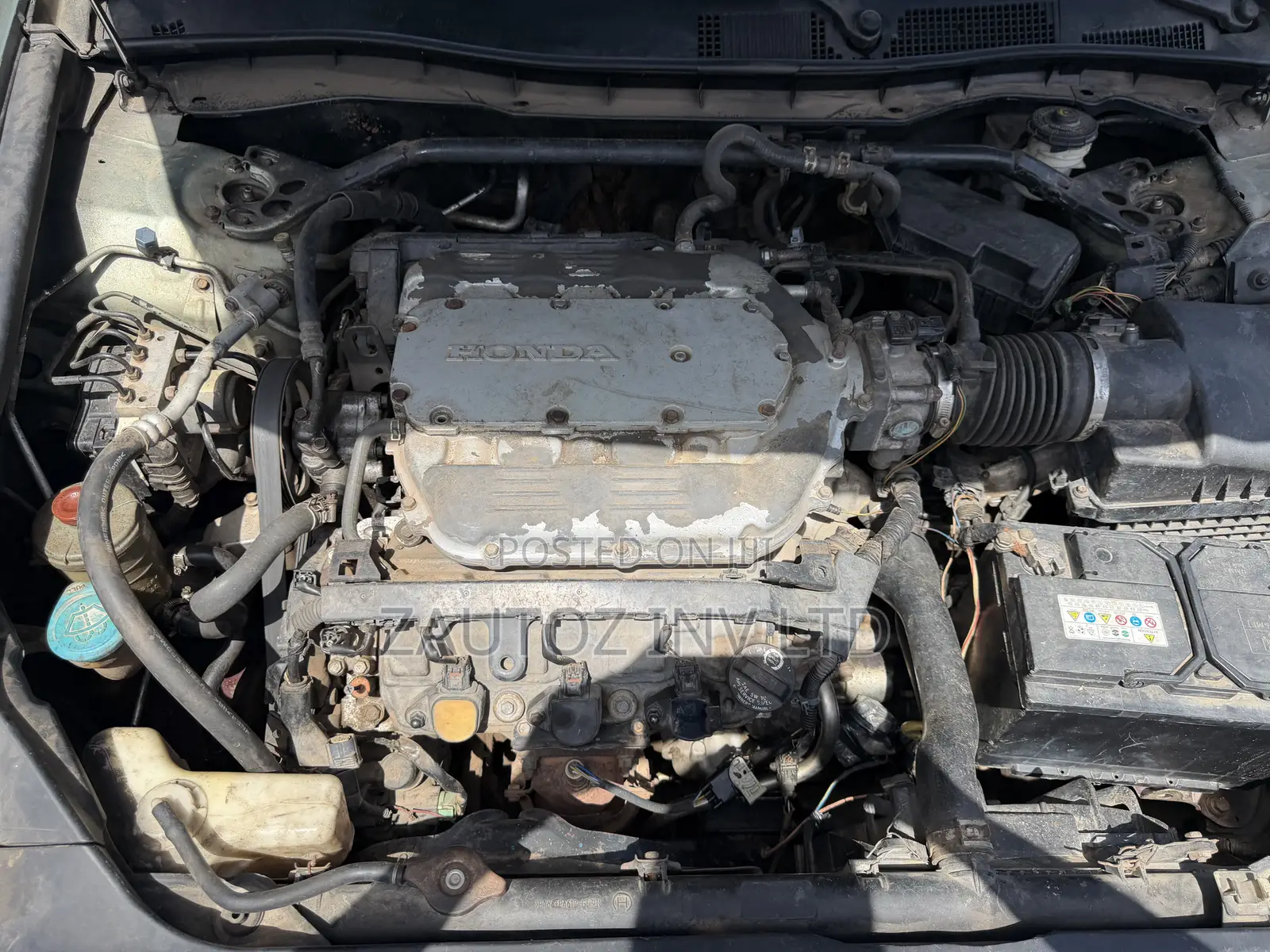 Honda Accord EX V6 Automatic 2009 Green