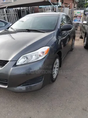 Toyota Matrix Hatchback FWD (1.8L 4cyl 5M) 2009 Gray