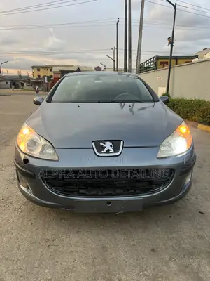 Peugeot 407 2007 Gray