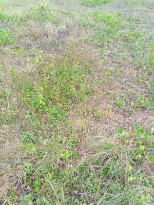 A Plot of Land at Orchid Road, Lekki