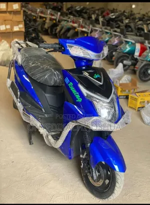 Electric Bike