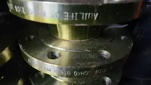 Well Neck Flange