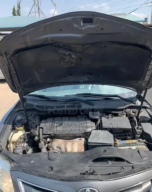 Toyota Camry 2010 Gray