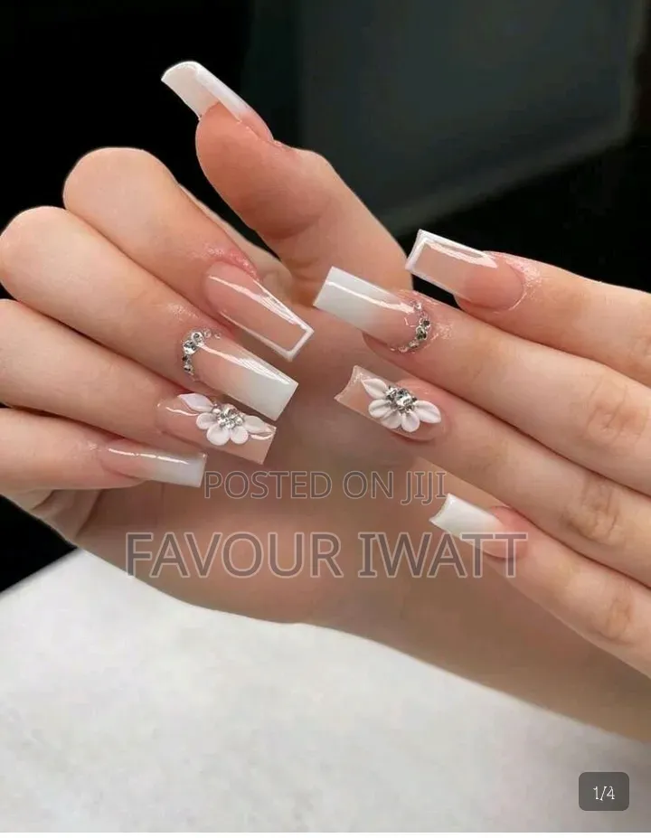 Faveleyn's Collection