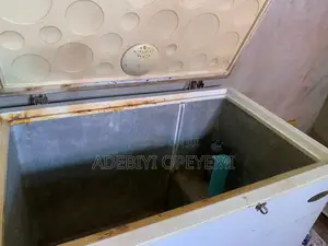 Haier Thermocool Chest Freezer