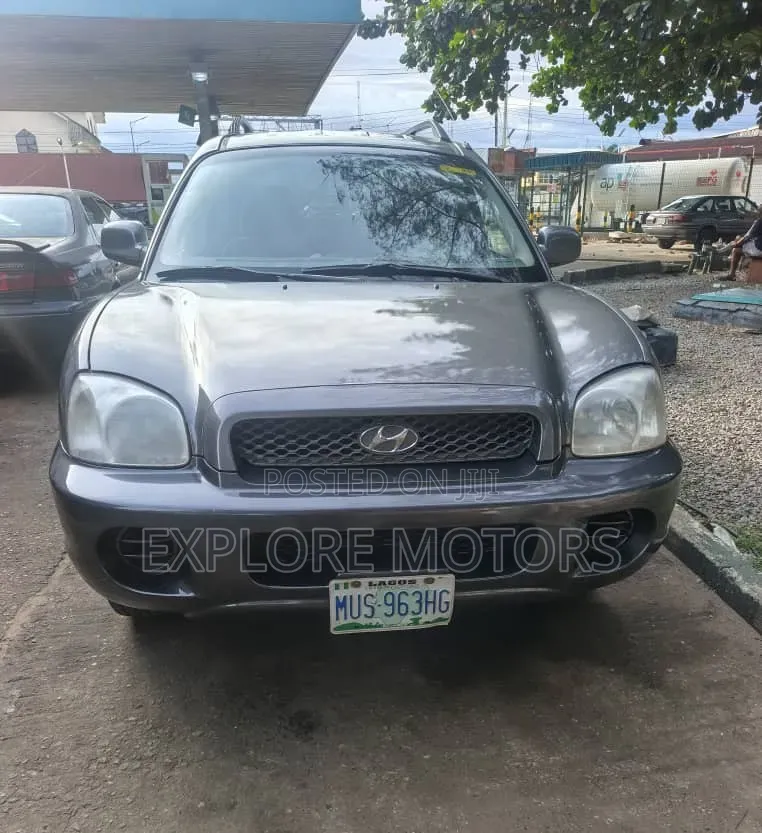 Hyundai Santa Fe 2004 Gray