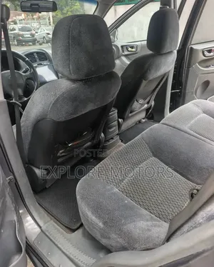 Hyundai Santa Fe 2004 Gray