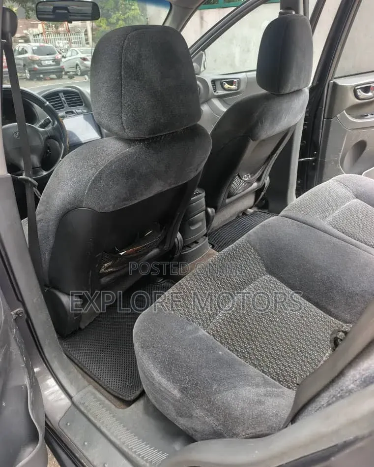 Hyundai Santa Fe 2004 Gray
