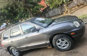 Hyundai Santa Fe 2004 Gray